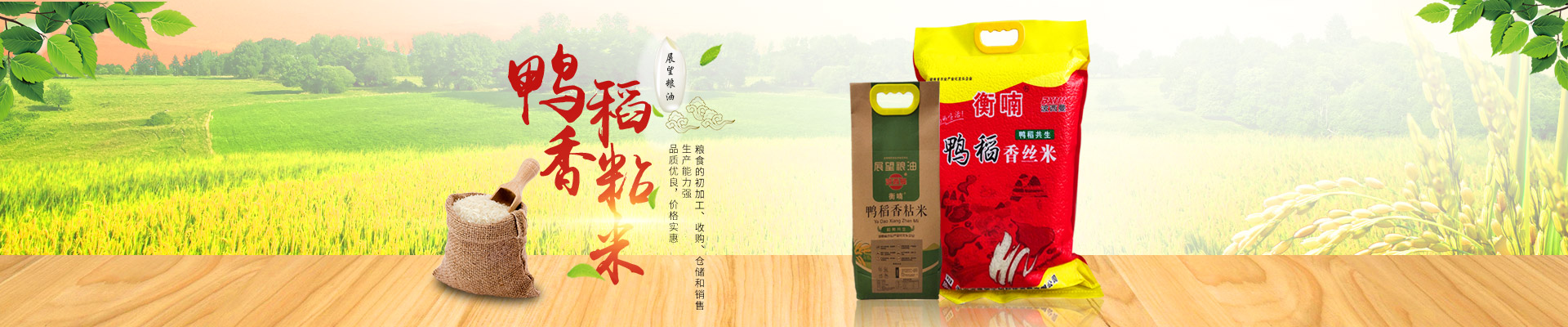 湖南省388vip太陽集團生物科技發展有限公司_農副產品加工|糧食收購 湖南省388vip太陽集團生物科技發展有限公司_農副產品加工|糧食收購